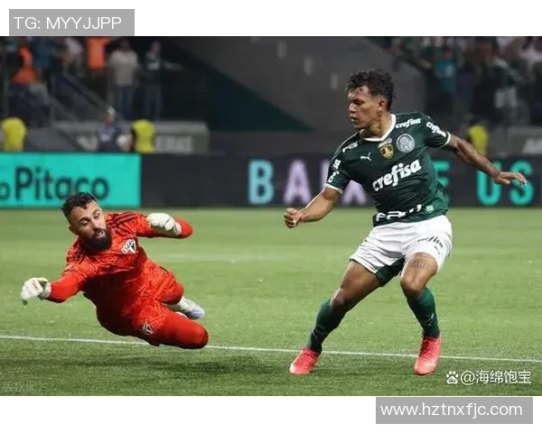 科林蒂安与科里蒂巴的精彩对决比分揭晓分析与赛后点评